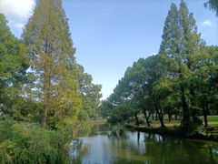 -苏州上方山国家森林公园