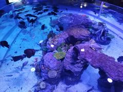 -成都浩海立方海洋公园