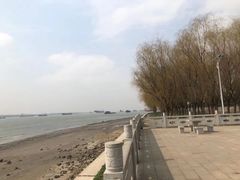-扬子江公园