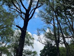 -广州市白云山风景名胜区