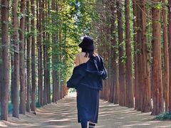 -日照海滨国家森林公园
