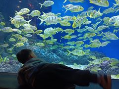 -成都浩海立方海洋公园