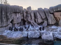 -上海野生动物园