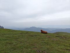 -灵山