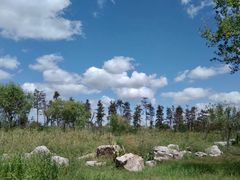 -春花秋色城市公园