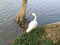 -艾溪湖湿地公园