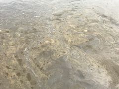 -南汇新城海滩