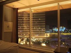 -拉斯维加斯永利酒店