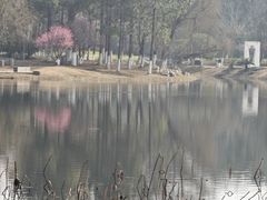 -武汉园博园(武汉自然博物馆)