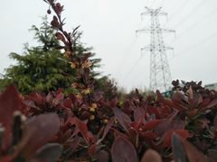 -大连理工大学(凌水校区)