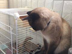 -贝利宠物医院·骨科·眼科·肿瘤转诊中心(南坪诊疗中心)