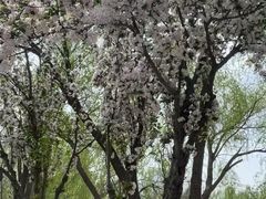 -卫鼎轩·家宴(水上公园店)