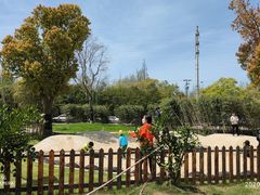 -上海长兴岛郊野公园