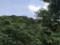 -福清灵石山国家森林公园