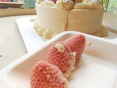 -壹点壹客·生日蛋糕(南山店)