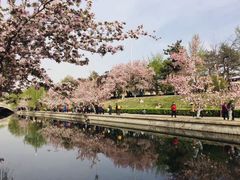 -元大都城垣遗址公园