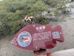 -北海金海湾红树林生态旅游区