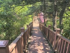 -燕塞湖鸟语林景区