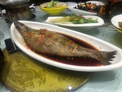 -巴依老爷新疆美食(望京小街店)