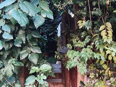-斯多格书乡(北京大学畅春园店)