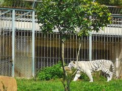 -上方山森林动物世界