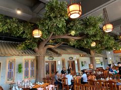 -顺德了能馆(虎门店)