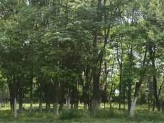 -钟山体育运动公园