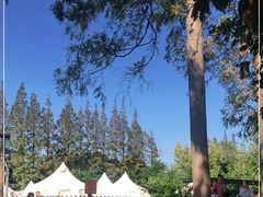 -前小桔亲子创意农场·草莓采摘·露营烧烤