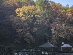 -陶祖圣境风景区