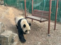 -大连森林动物园