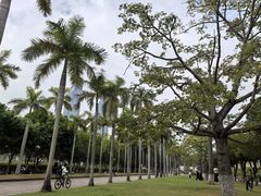 -厦门大学(思明校区)