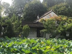 -上海醉白池公园