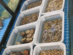 -碧海银沙海鲜餐厅(恒大海上威尼斯店)