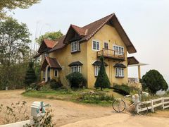 -黄色小屋