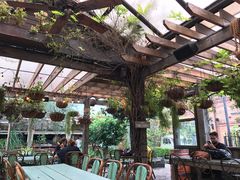 -The Grounds of Alexandria