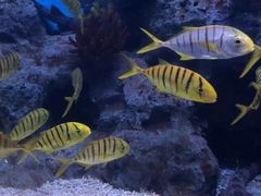 -常州海昌海洋探索馆