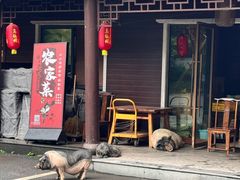 -小小饭店·休闲农庄·安吉松树林里的农家菜