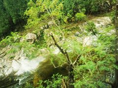 -泰山风景名胜区