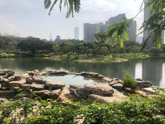 -四海公园(南山区)