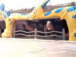 -宝燕乐园(闵行旗舰店)