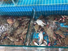 -蓝珊海鲜澳洲和牛自助餐厅