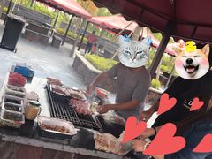 -春花秋色城市公园