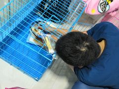 -瑞派宠物医院(搏威敦和院)