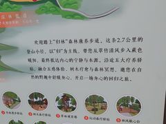 -广州市帽峰山景区