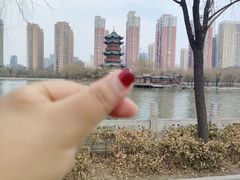 -迎泽公园