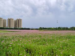 -映月湖中央公园