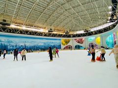 -世界之窗阿尔卑斯冰雪世界