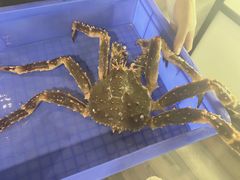 -蟹后Crabber(水悦城店)