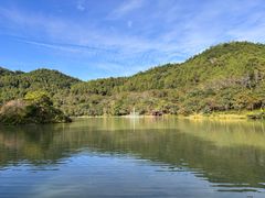 -广州白江湖森林公园