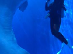 -多彩贵州城极地海洋世界